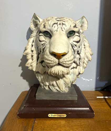 Busch gardens white tiger - tiger, head