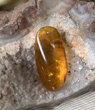 Vintage Cognac Egg Yolk