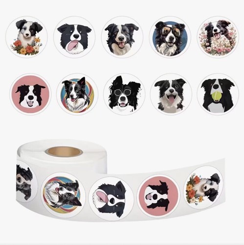 Assorted border collie - 50, x