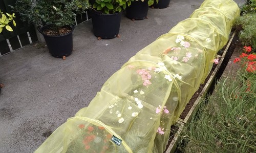 High quality easy tunnel - , plant