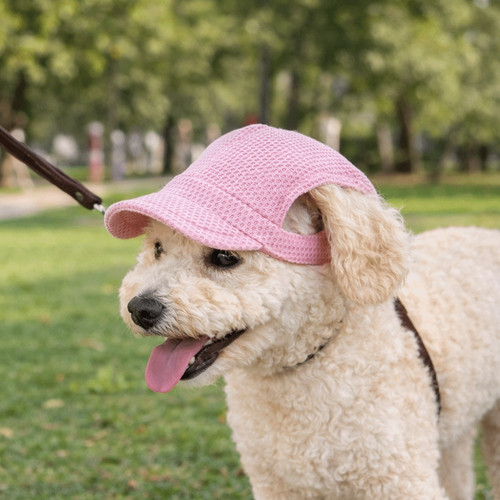 Pet sun hat ear holes - ear,