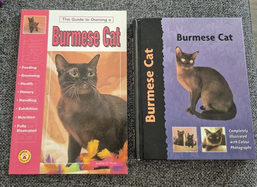 The guide owning burmese - guide,