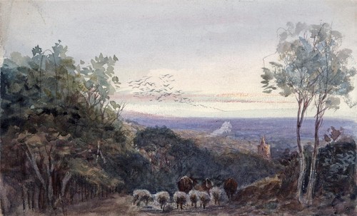 Sheep church landscape - &,