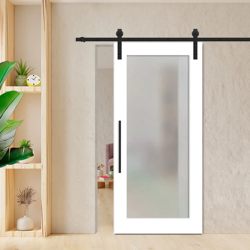 Lite glass sliding barn door - lite,