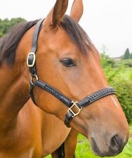 Horse Leather Headcollar