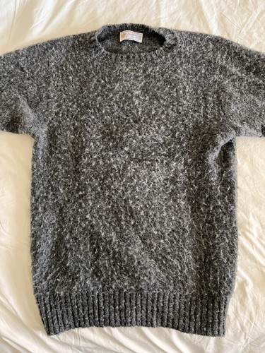 Shetland woolen shaggy - shaggy, dog