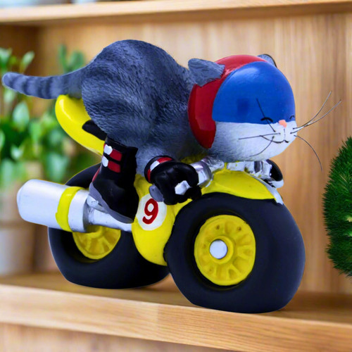 Funny grey cat - cat, on
