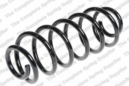 Coil spring rear ford - 2x,