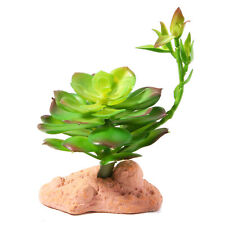 Betta Terra Succulent Plant 17cm Vivarium Terrarium Reptile Decor Ornament