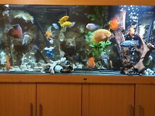 6ft Fish Tank With Stand Custom Made Collection Only Approx 800litre RRP: £3000