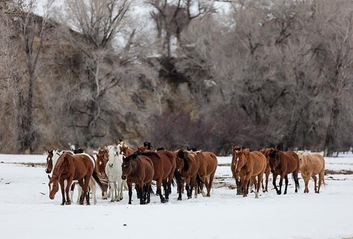 Routt county colorado - county,