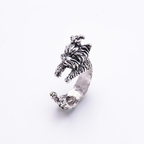Hugging yorkshire terrier ring - yorkshire,