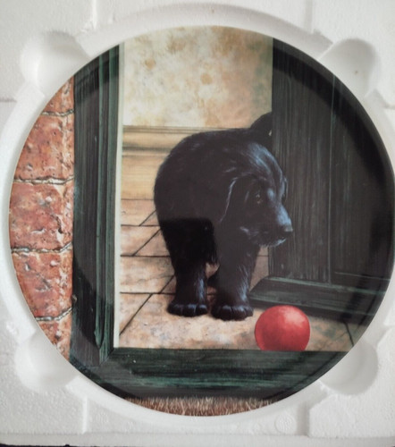 Danbury mint playmate - -,