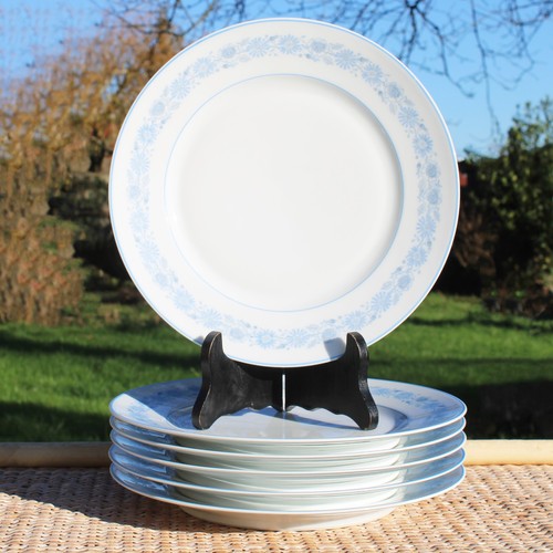 Lot flat plates field - of,
