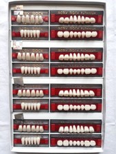 Teeth Acrylic Denture
