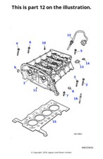 Jaguar Genuine Temperature