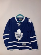 Toronto Maple Leafs NHL Ice