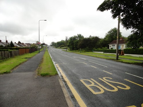 Photo looking the bank - photo,
