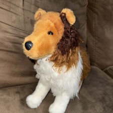 2021 Collie Lassie Whispy