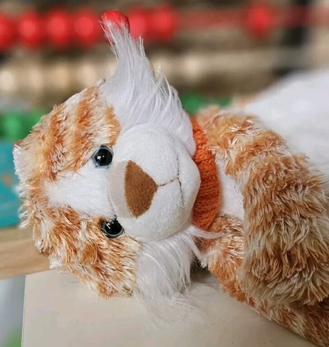 Ginger the cat jomanda - the,