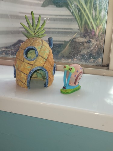 Spongebob squarepants aquarium - squarepants,