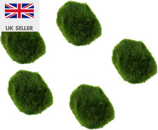- Live Marimo Moss Balls, Cladophora Aegagropila, Aquarium Plant (5 X Moss Balls