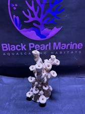 Ceramic Reef Rock Frag Pillar