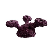 SANDBED 4 Hole Tripod Coral