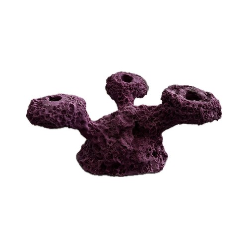 Sandbed hole tripod coral - sandbed,