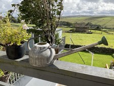Vintage  Galvanised Long Reach Watering Can Large  10 pints With Shower Rose