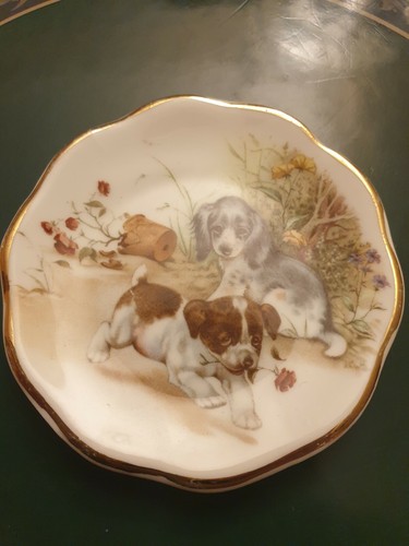 Mini plate cute puppies - plate,
