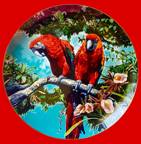 Macaws the exotic - the,
