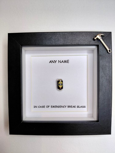 Fun novelty case of - fun, 'in