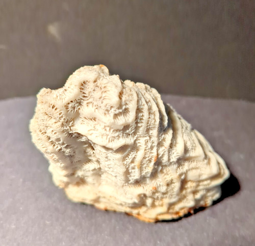Natural calcium carbonate - natural,