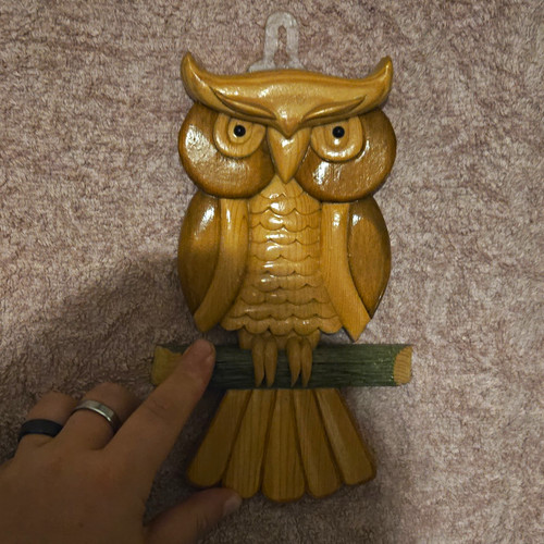 Carved wood owl wall hanging - wood,