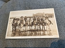 The Donkeys At Western Super