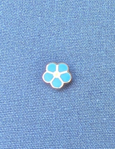 Masonic forget not lapel - masonic, me