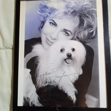Elizabeth Taylor Framed Autographed Photo 8" x 10" 