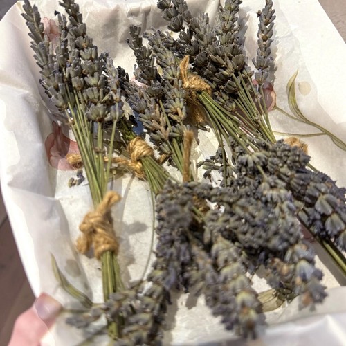 Dried lavender 15cm - dried, lavandin