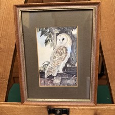 Picture Of An Owl, Framed 