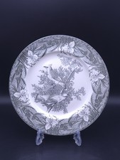 Adams Birds Of America Ruffed