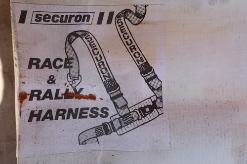 Race rally harness robin - race,