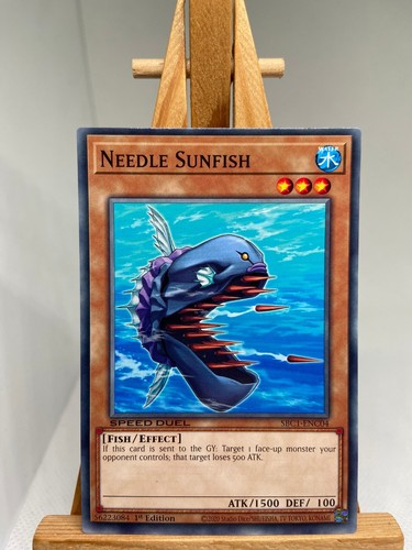 Needle sunfish 1st - needle,
