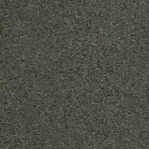 Nylon cut pile geneva grey - cut,
