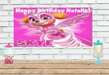 2x4 Skye Vinyl Birthday Banner