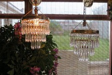 A ~BEAUTIFUL Pair~ OF REAL