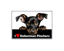 I Love Doberman Pinchers  - Dogs - Fridge Magnet - Large - Pets Present Gift