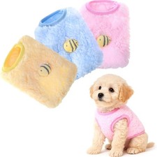 Dog Cat Coat Chihuahua Puppy