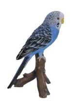 vivid arts blue budgerigar