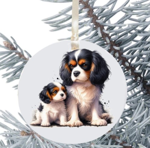 King charles cavalier spaniel - cavalier,